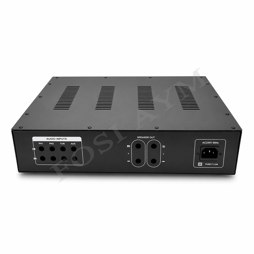 هيكل مكبر صوت FOSI AYM 430x340 - مراجعة Diy Analog Electronics وسعره
