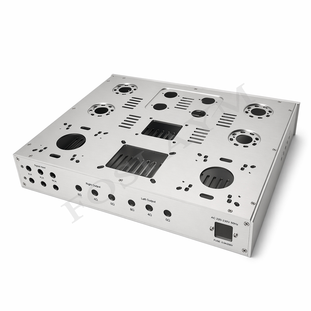 هيكل مكبر صوت FOSI AYM 415x330 - مراجعة Diy Analog Electronics وسعره